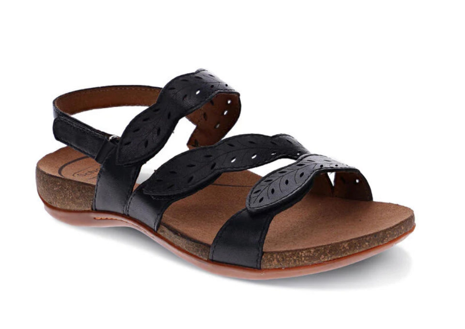 Scholl Able II