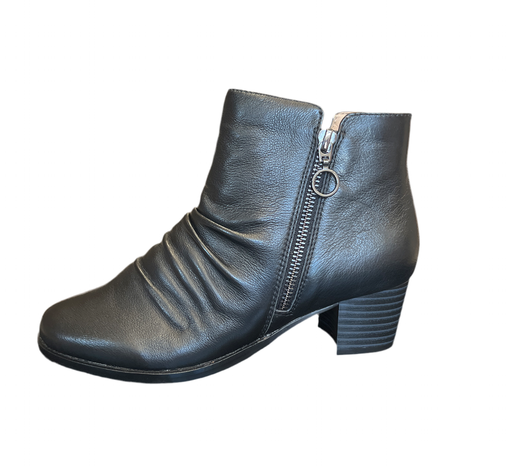 Scholl Haley